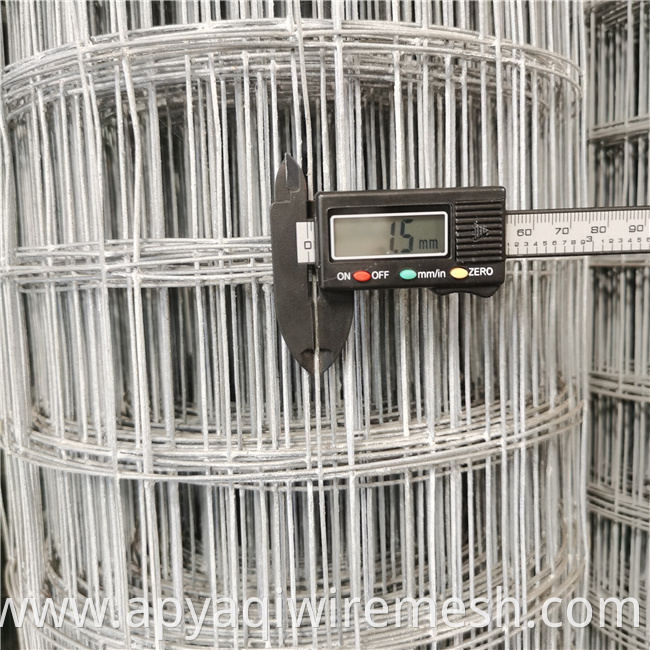 YQ Galvanized Welded Wire Mesh for Agriculture or Bird Cage for Protection Construction